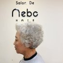 헤어스핑스