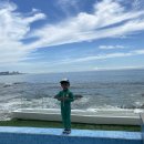 NR-31[일광로]-하-30 | 부산 기장 수영장 카페 : 씨앤트리 ( 4살 아이와 )
