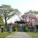 면천군자정 이미지