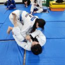 칼슨그레이시 코리아 이미지