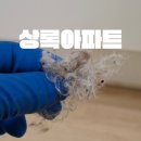 예산-59 | 내포신도시, 홍성, 예산 지역업체 크린터치 | 상록아파트59형 이사청소 전후 공개