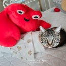 더은혜산후조리원 이미지