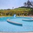 투데이목장 이미지