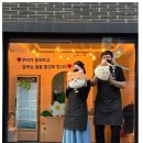 댕댕이꼬양 이미지