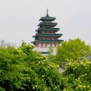 모란소주방 이미지