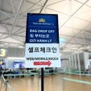 구제2국제여객터미널 주차장 게이트볼장 | 인천공항 제1여객터미널, 베트남 항공 첫 탑승기(셀프 체크인 방법 &amp; 기내식)