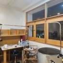 서른살나의펫2 이미지