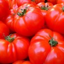 석천 태양광발전소 이미지