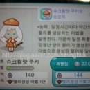 발발펫 네이버블로그