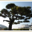 도천농장 이미지