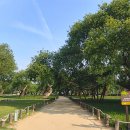 성주 경산리 성밖숲 이미지