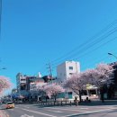 계명대학교 대명캠퍼스 이미지