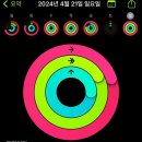 스카이패밀리