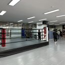 피제이미트 이미지