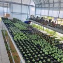 강릉아기동물농장 이미지