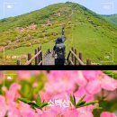 [등산] 기차 타고 떠나는 소백산 철쭉 산행! 희방사-연화봉-비로봉 등산 후기