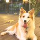 넘버25호텔청초호점 이미지