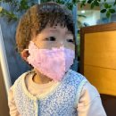 그레이트 북스, 내 친구 역사 공룡 샘플 후기 (+ 안산 아가 서적 어린이 서점 방문기)