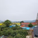 강진-2 이미지