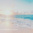 천상의 맛 이미지