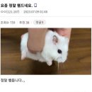 안면윤곽 1종 사각턱수술 후기 : 2~3일차