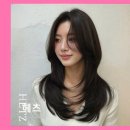 서울수치과의원 | 압구정로데오 애견동반 미용실 헤츠 336건 리뷰로 입증된 꼼꼼함