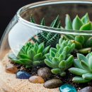 윤선공방