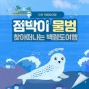 백령면사무소 | 백령도여행 연평여행사와 인천 터줏대감 점박이물범 찾기