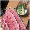 참치라이더 이미지