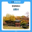 창원 성흥사 대웅전 | 멈춤의 계절! 천년고찰 성흥사에서 만나는 가을
