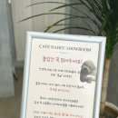 카페하비 이미지