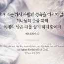 하나님의 뜻을 따라 육체의 남은 때를 살게 하려 함이라 이미지