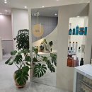 수인펫 | 룹헤어 야탑점 효림실장 분당 미용실 새치염색 웨딩염색 받은 후기