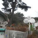 삼정사 이미지