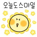 노은태권도 이미지