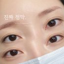 비올라(violla)