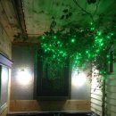 숲속의 하얀별 이미지