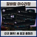 다이애나궁 | 칼바람 아수라장 신규 패치! 새 증강 총정리 + 직접 해본 후기까지