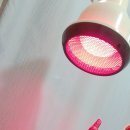 동춘당한의원 이미지