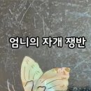 나비,날아오르다 이미지