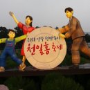 천일홍축제 이미지