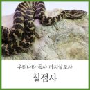 안녕하우스