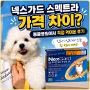 차이 동물병원 | 넥스가드 스펙트라 가격 차이? 동물병원에서 직접 먹여본 후기