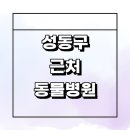 따뜻한 동물병원 | 서울 성동구 근처 동물병원 추천 잘하는곳 정보 수술 치료 가격 후기 고양이 강아지 중성화 새벽
