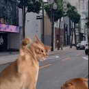 핸드 건축사사무소 이미지