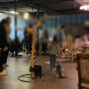 광교스타(지)빌딩 1층 | 수원 고양이카페 미야오 광교점 데이트 후기