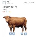 소신 이미지