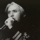 남창애견샵 복실강아지 이미지