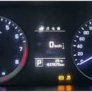 포니카센타 이미지