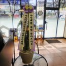 미스터홈즈부동산중개수원시청센터 | [인천 논현동] 한나네김 OPEN